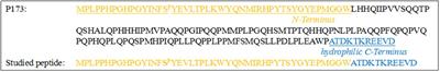 Remineralization Efficacy of an Amelogenin-Based Synthetic Peptide on Carious Lesions